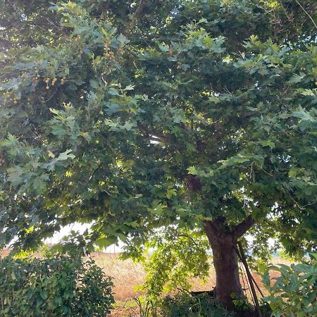 דירות Samothráki Platanos מראה חיצוני תמונה